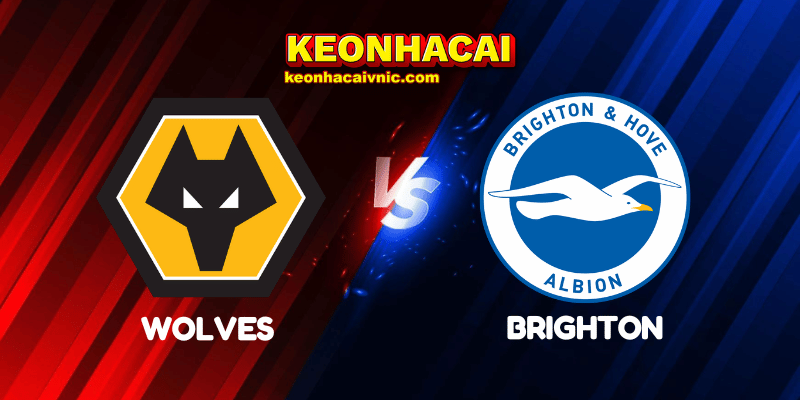 Soi Kèo Trận Đấu Wolves vs Brighton Ngày 10/05/2025 - Premier League 2 Wolves vs Brighton